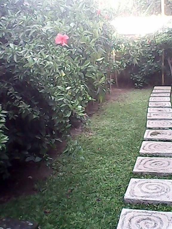 Bali Sari Homestay Amed  Exterior photo
