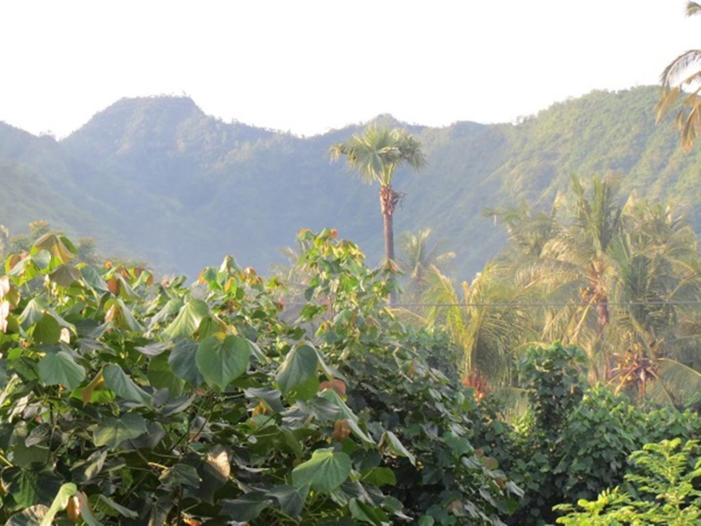 Bali Sari Homestay Amed  Exterior photo